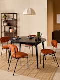Black Stain Oak