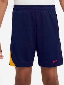 Nike Blue Navy Dri-FIT Strike 24 Shorts