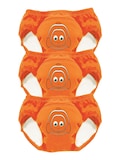 Clownfish