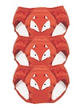 Orange Fox