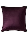 Purple Blackberry Purple