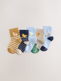 Blue/Neutral Spring