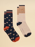 Tan & Navy Fox