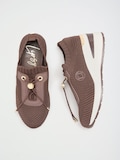 Chocolate Brown