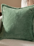 Frost Green