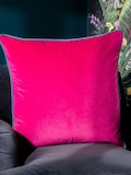 Raspberry Teal