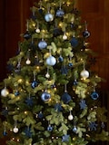 Navy Blue Frost