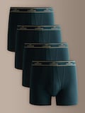 Blue Modal