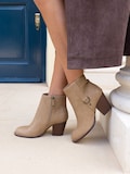 Taupe