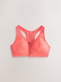 Coral rosa