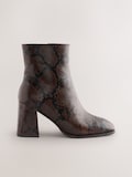Chocolate Brown Snake