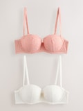 Apricot/Cream