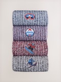 Red/Blue Ski Embroidery