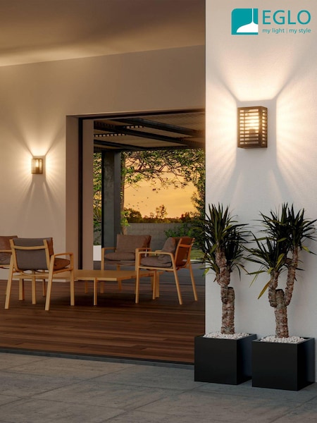 Eglo Black Alamonte 3 Caged Outdoor Wall Light (149424) | £59