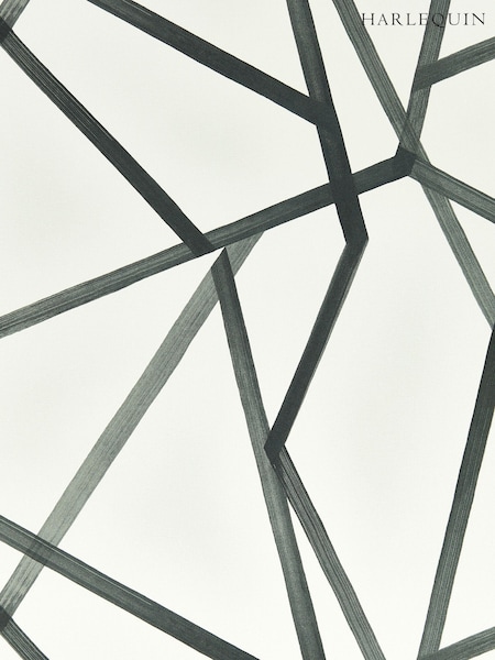 Harlequin Natural Sumi 10.05M Wallpaper (173008) | £88