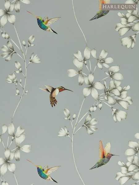 Harlequin Grey Amazilia 10.05M Wallpaper (180770) | £88