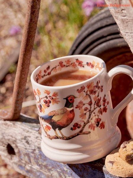 Emma Bridgewater Pheasant In Hawthorn 1/2 Pint Mug