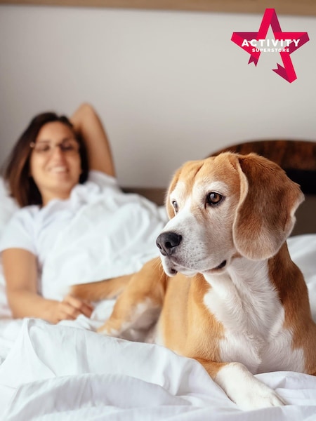 AS Dog Friendly Hotel Stays Gift Experience (244429) | £129