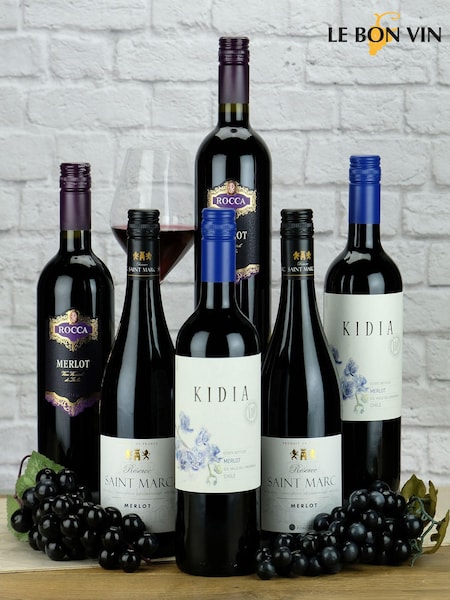 Le Bon Vin Set of 6 World Merlot Red Wine Selection (249574) | £74