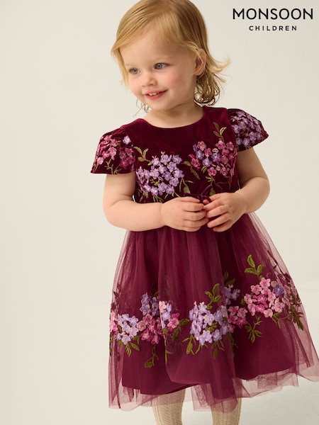 Red - Monsoon Baby Ruby Floral Embroidered Velvet Party Dress