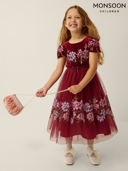 Red - Monsoon Ruby Floral Embroidered Velvet Party Dress