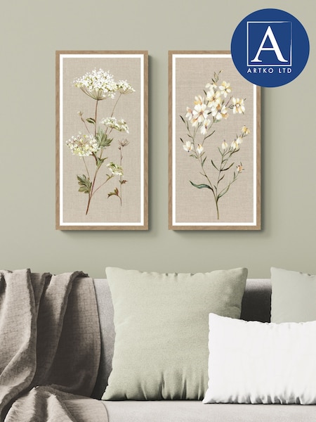 Artko Set Of 2 Cow Paisley & Daises Nicola Rowles Framed Arts