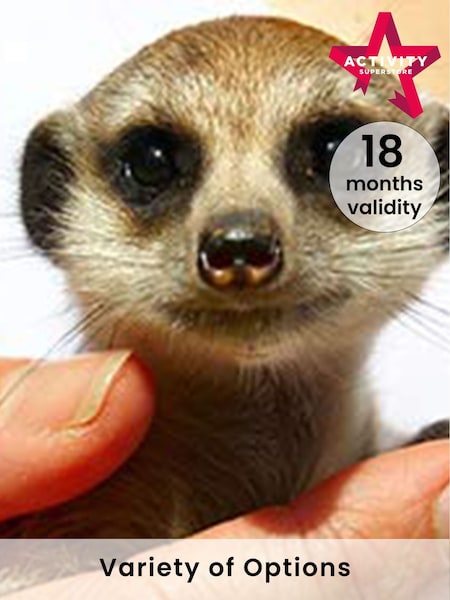 AS Animal Encounter Day Out For Two Gift Experience (338944) | £59