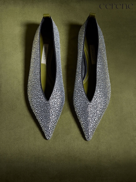 Silver - Cerene Delphine Pointed Toe Ballet Flats