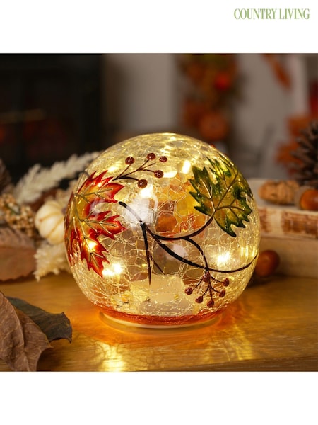 Country Living Leaf Led Light Up Orb