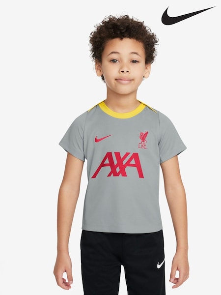 Nike Grey Liverpool FC Academy Pro Training T-Shirt (466170) | £20