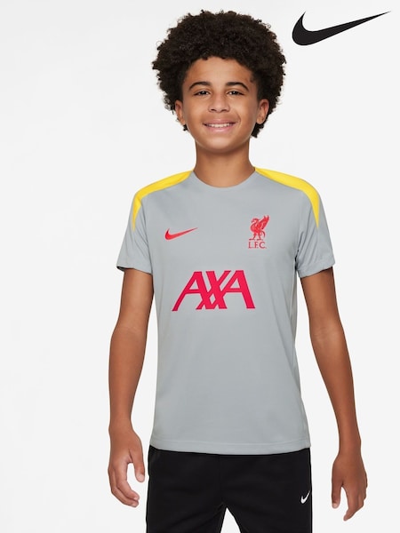 Nike Grey Liverpool FC Strike Training T-Shirt (466275) | £38