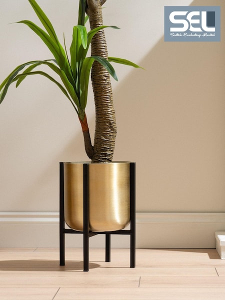 Scottish Everlastings Ltd Planter On Stand Large