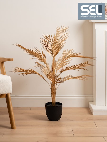 Scottish Everlastings Ltd Palm Tree