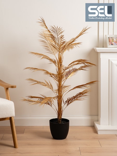 Scottish Everlastings Ltd Palm Tree