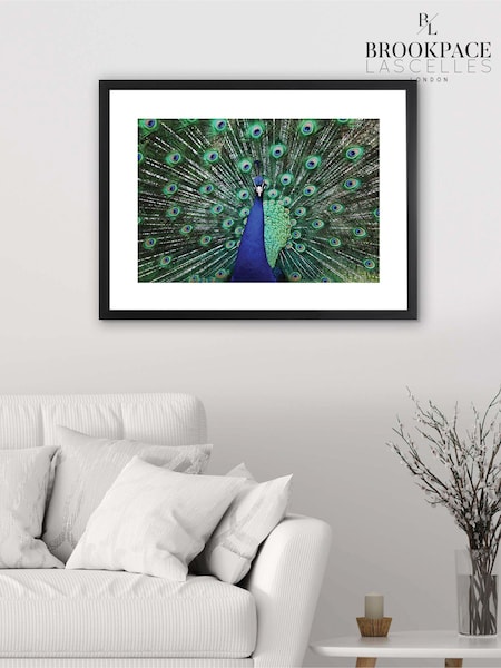 Brookpace Lascelles Blue Peacock Fan Artwork In Matt Black Frame (504443) | £156