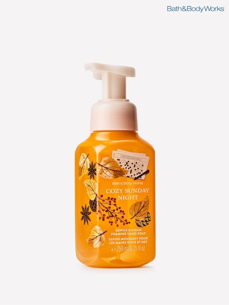 Cozy Sunday Night - Bath & Body Works Gentle & Clean Foaming Hand Soap 259ml