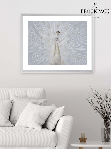 Brookpace Lascelles White Peacock Fan Artwork In Frame (550920) | £156