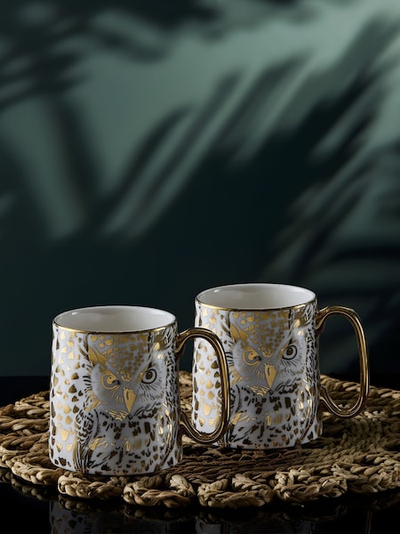 Bia International Set Of 2 Owl Animal Mugs