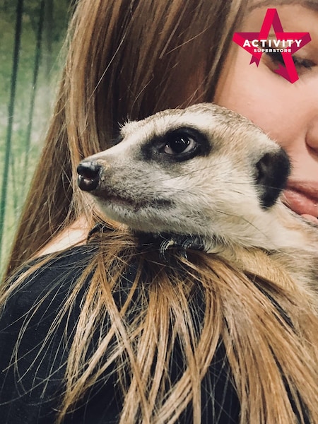 AS Meerkat Encounter for Two Gift Experience (598532) | £79