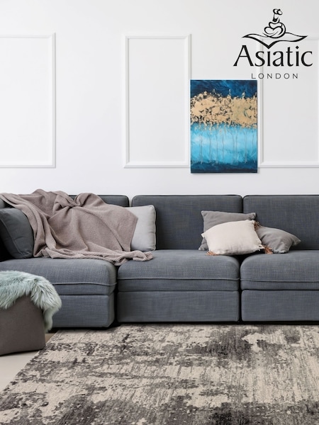 Asiatic Rugs Grey Nova Mirage Rug (622204) | £48 - £233