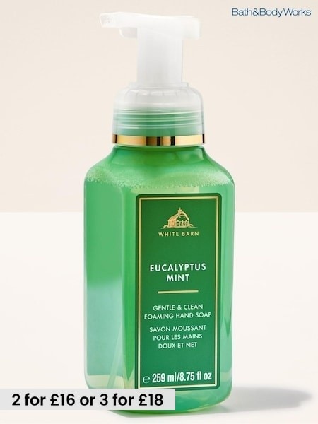 Eucalyptus + Mint - Bath & Body Works Gentle & Clean Foaming Hand Soap 259ml