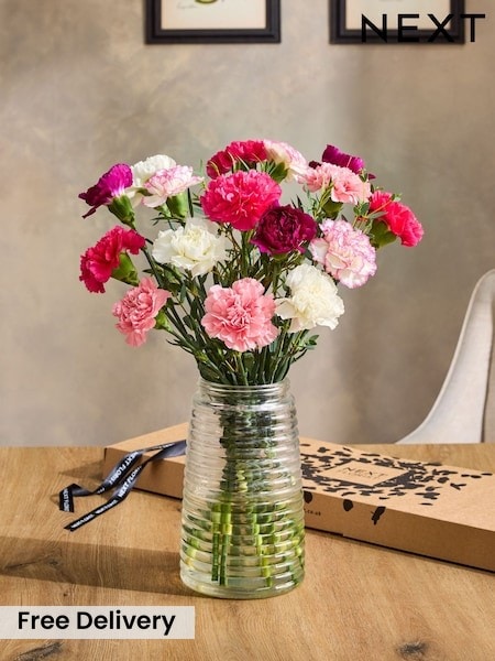 Bright Carnation Letterbox Bouquet