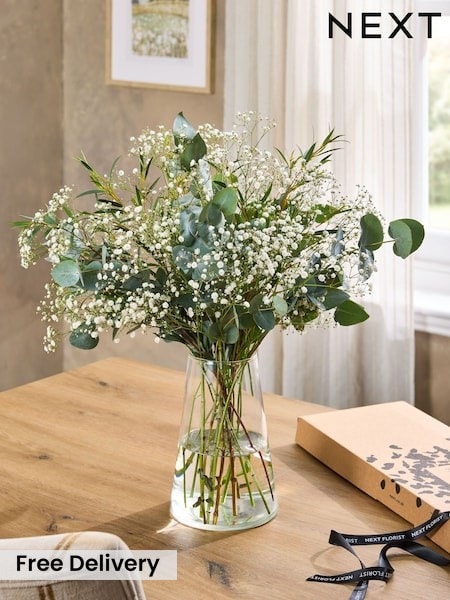Gypsophila And Eucalyptus Letterbox Arrangement