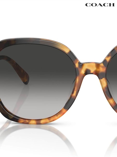 COACH Brown HC8377U Sunglasses (674497) | £154