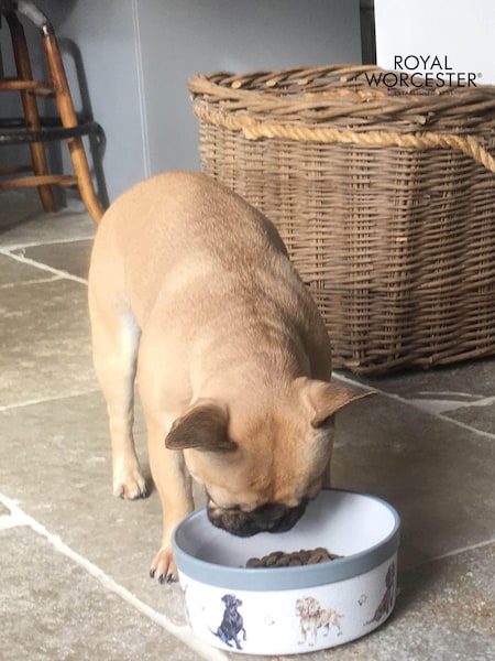 White Royal Worcester Wrendale Large Pet Bowl (675315) | £34