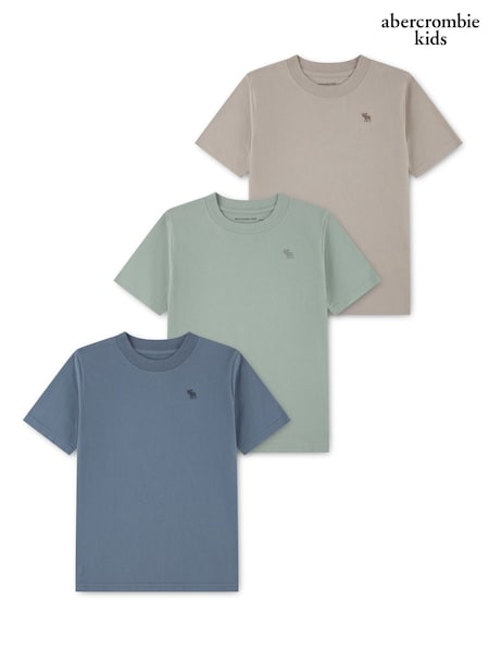 Grey - Abercrombie & Fitch Short Sleeve T-shirts 3 Pack