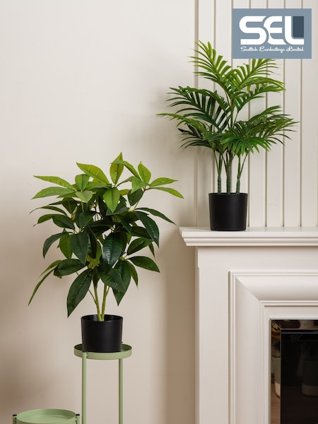 Scottish Everlastings Ltd Artificial Palm & Money Tree Plants 2 Pack