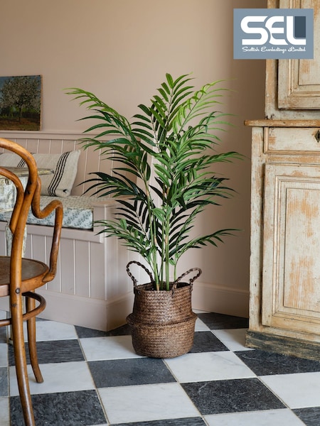 Scottish Everlastings Ltd Bamboo Palm Artificial Tree