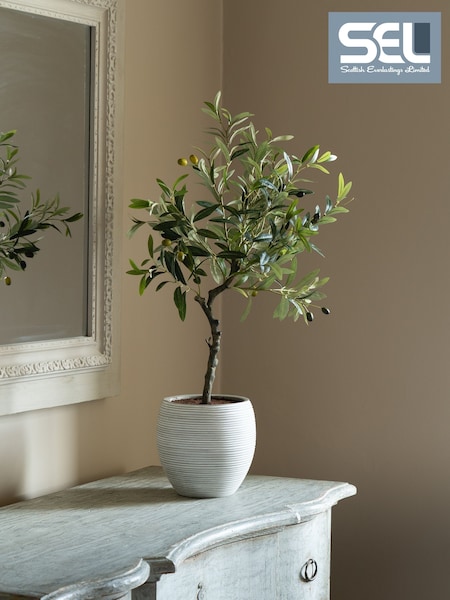 Scottish Everlastings Ltd Olive Artificial Tree