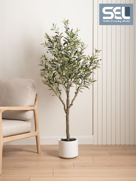 Scottish Everlastings Ltd Olive Artificial Tree